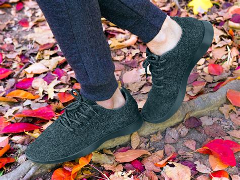 fake allbirds shoes|shoes like allbirds.